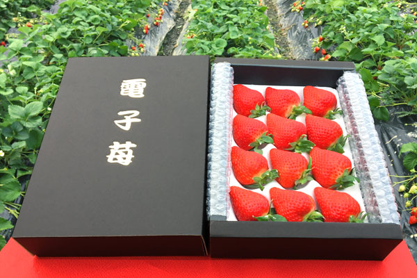 ナエ様専用 6箱 苺 奈良11号 いちご 新品種 農家直送 イチゴ